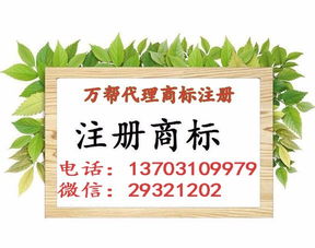 邯鄲公司注冊 內資公司注冊 領取營業執照等 無地址辦人力資源專業