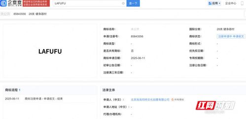 長沙市知識產權局服務指南 內資公司注冊流程與知識產權保護